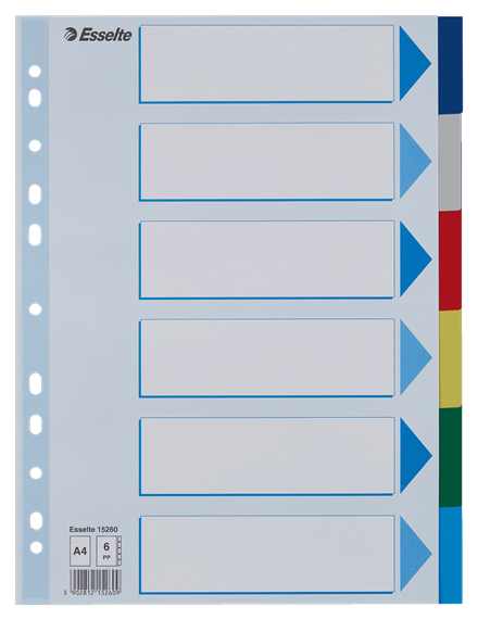 Tussenblad ESSELTE, A4, blanco, 6 tabs