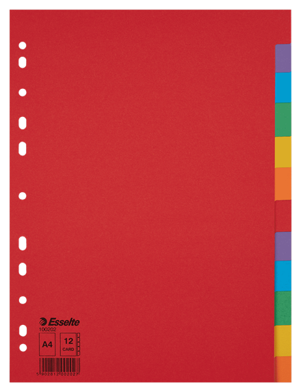 Tussenblad ESSELTE, A4, blanco, 12 tabs