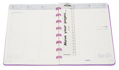 Agenda Atoma, 2025