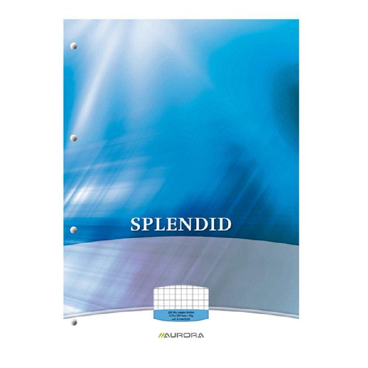 Cursusblok Splendid geruit 5mmx5mm