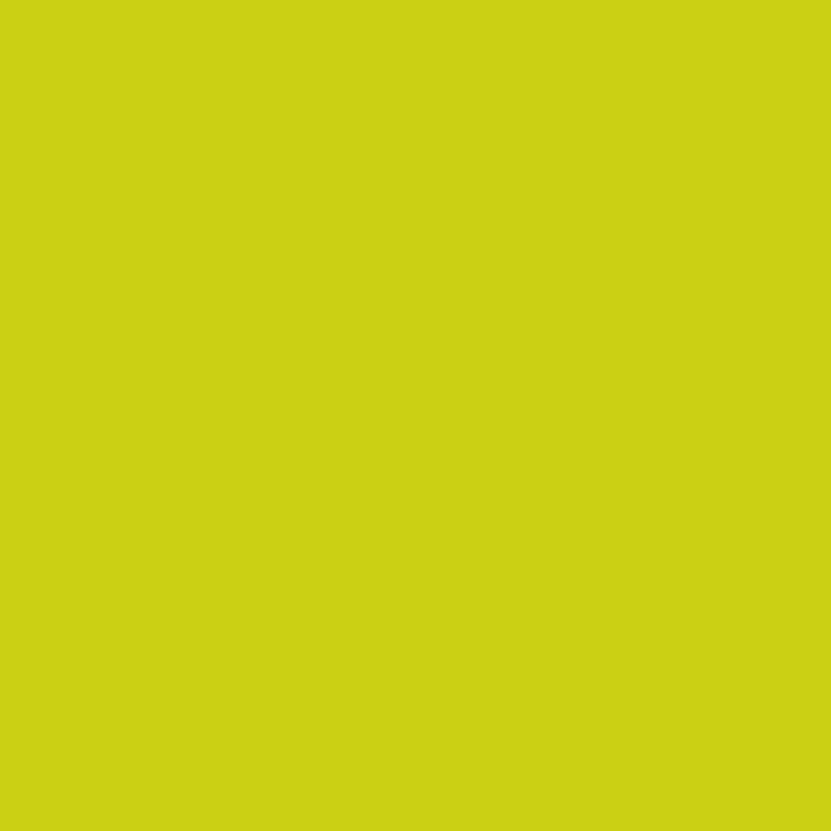 Servetten Duni, kiwi, 33 x 33 cm, 20 stuk(s)