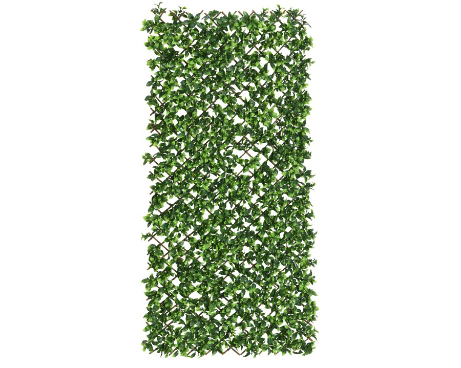 Plant Decoris, hek met bladeren