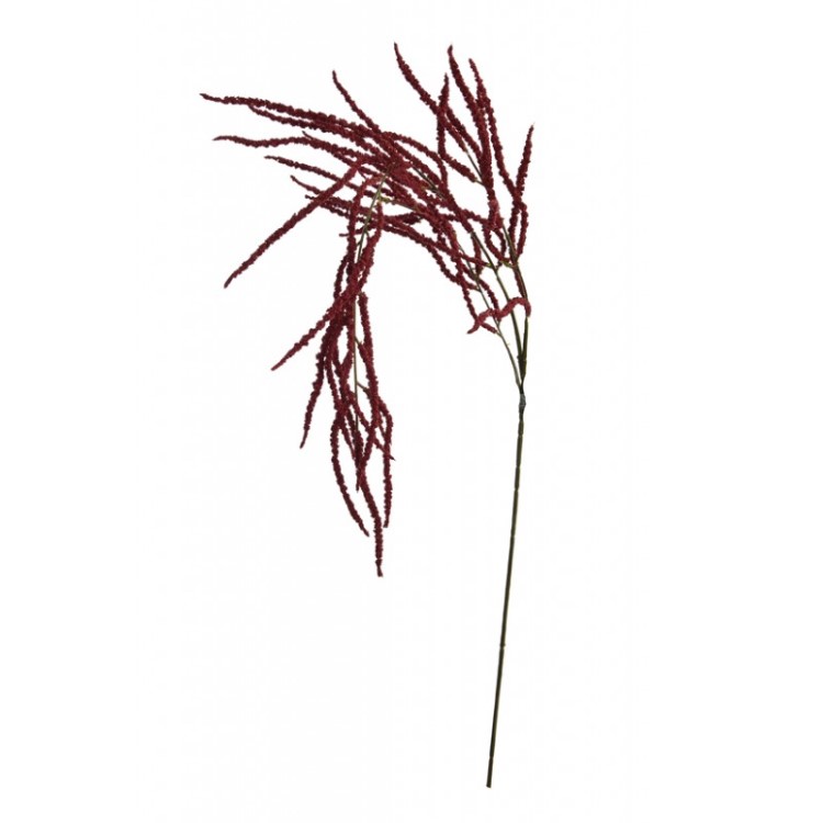 Plant PURE, amarant