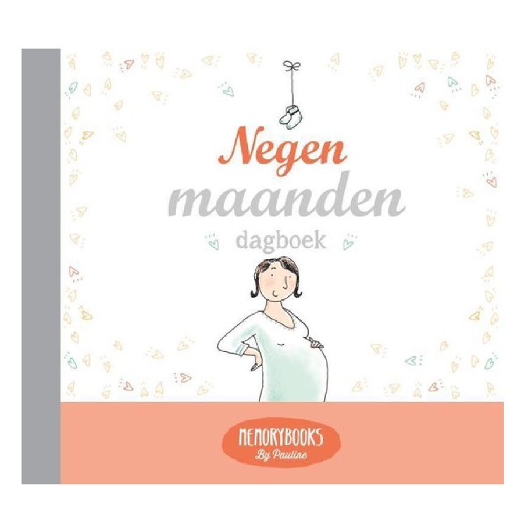 Boek INTERSTAT Negen Maanden Dagboek, invulboek | Memorybooks By Pauline