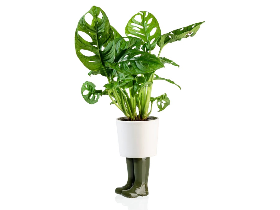 Bloempot Bitten, Wellington Planter Large