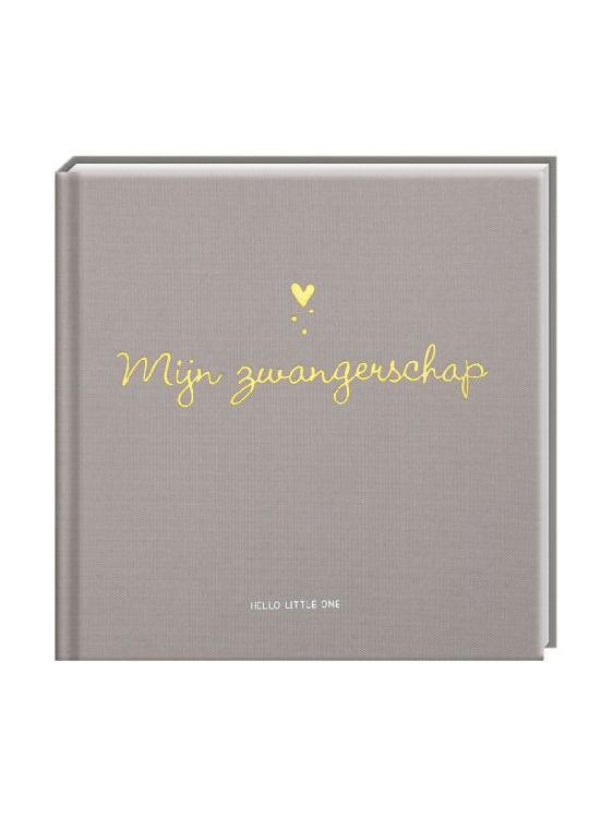 Boek IMAGE BOOKS Mijn Zwangerschap, invulboek | Hello Little One