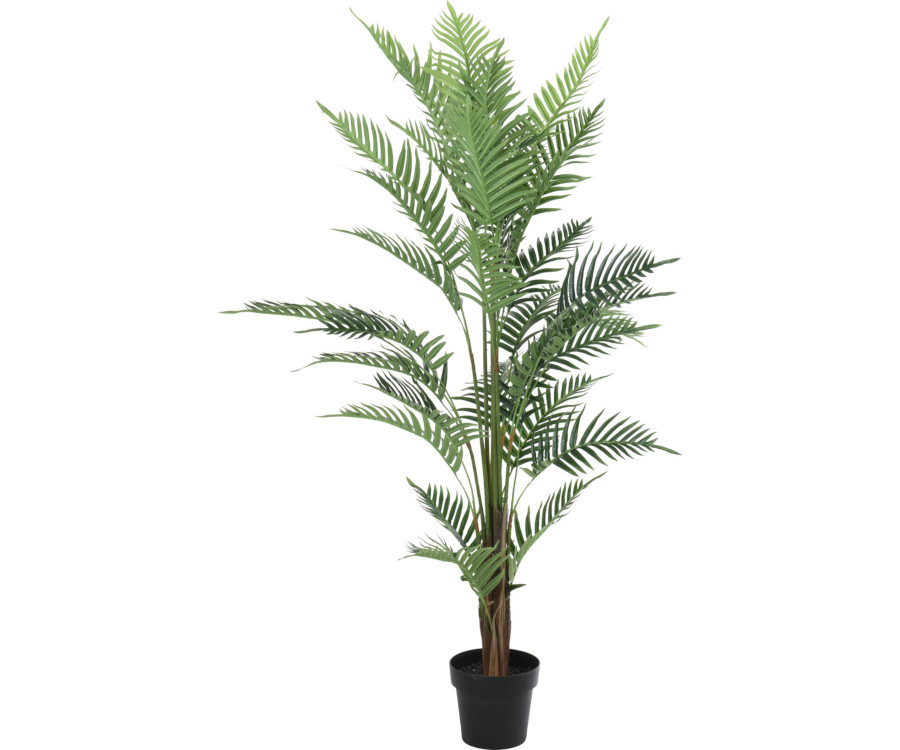 Plant varen