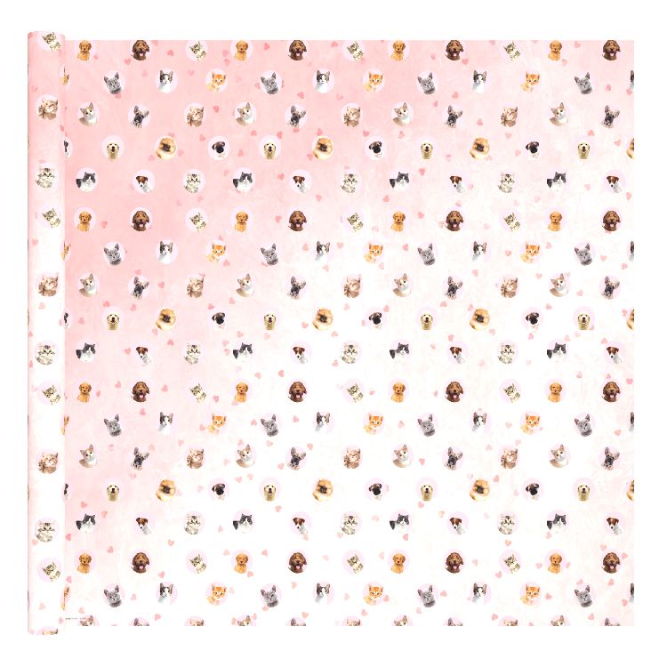 Kaftpapier Lannoo Graphics | My Favourite Friends