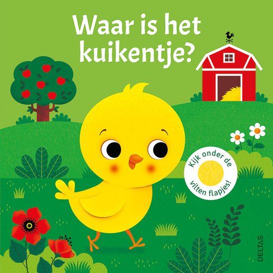 Boek DELTAS Waar Is Het Kuikentje, leesboek