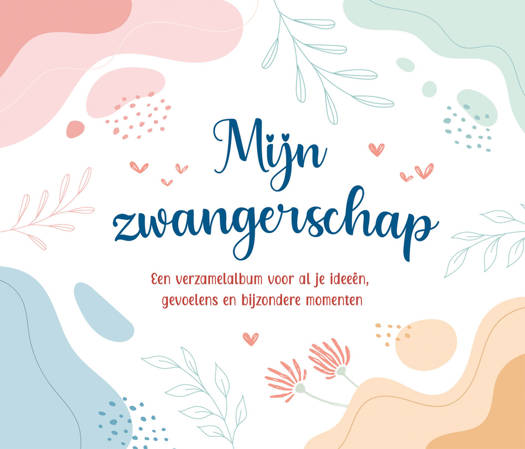 Boek DELTAS Mijn Zwangerschap, invulboek
