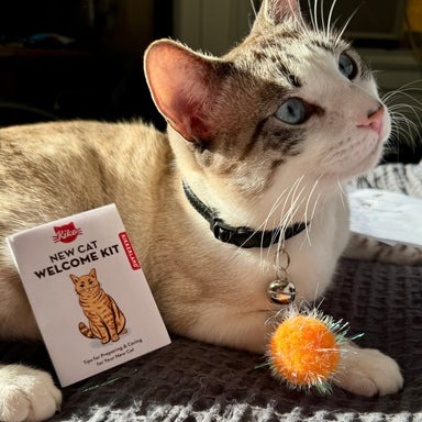 Gadget Kikkerland New Cat Welcome Kit | Kiko