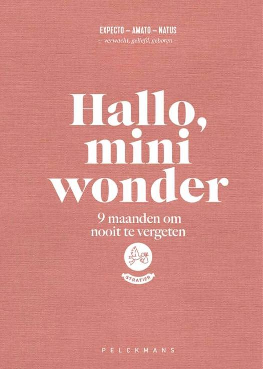 Boek Stratier Hallo, Mini Wonder, invulboek
